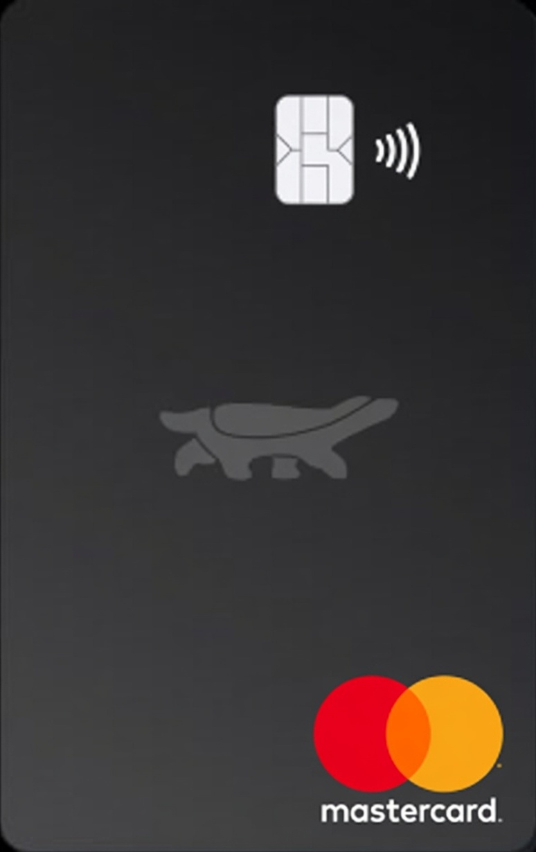 Visa card